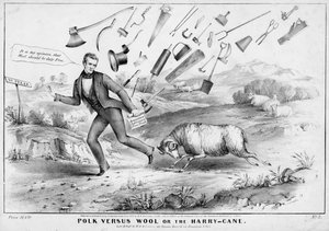 Polk Versus Wool, or, The Harry-cane