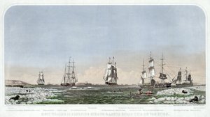 Right Whaling in Behring Straits & Arctic Ocean with its Varieties, pub. 1871