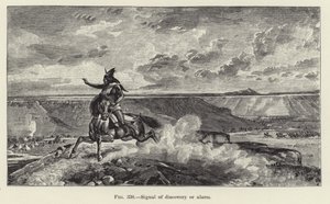 Signal of Discovery or Alarm by American School