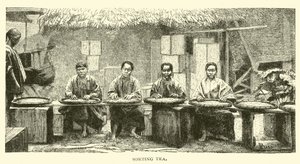 Sorting Tea by American School