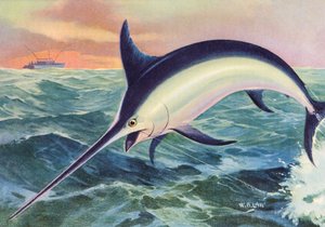 Sport Fishing: Leaping Swordfish