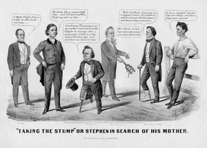 Taking the Stump, or, Stephen in Search of His Mother
