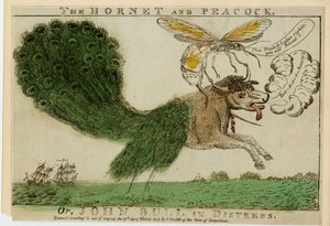The Hornet and Peacock, or, John Bull in distress by American School