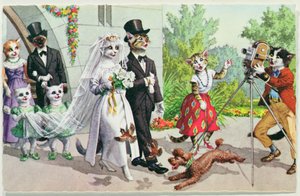 The Wedding