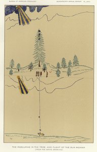 The Porcupine in the Tree, and Flight of the Sun Woman by American School