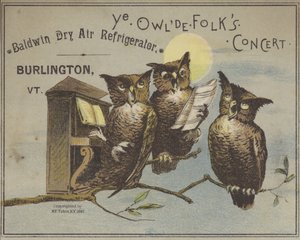 Three Owls Singing by American School