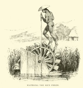 Watering the rice fields by American School