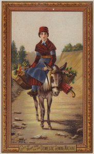 Woman Riding on Donkey by American School