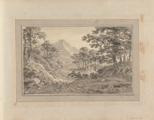 Landscape near Wyburn