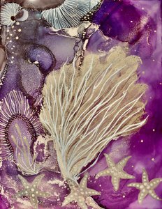 Purple Coral Starfish by Amy Tieman