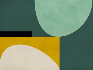 Rainbow Plus Shapes 1 by Ana Rut Bre