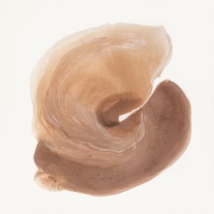 Organic Brown Swirl