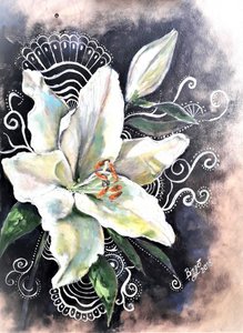 Elegant White Lily Bloom