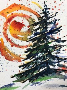 Golden Winter Evergreen