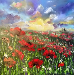 Sunset Poppy Field by Anda Bieza