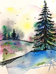 Vibrant Forest Sunrise