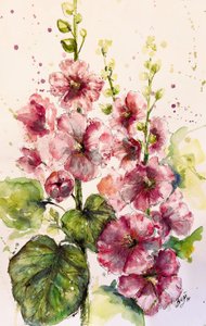 Vibrant Pink Hollyhocks by Anda Bieza
