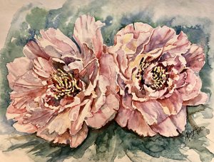 Vibrant Pink Peonies by Anda Bieza
