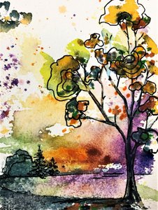 Vibrant Sunset Tree by Anda Bieza