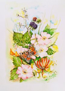 Wildflower Butterfly Garden by Anda Bieza