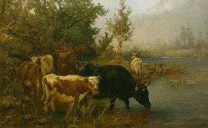 Cows by the Water