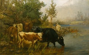 Cows by the Water