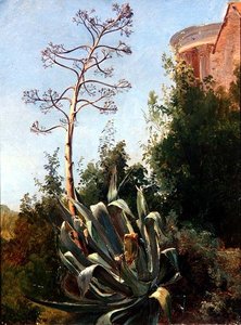 Landscape; Southern Italy by Anders Christian Lunde