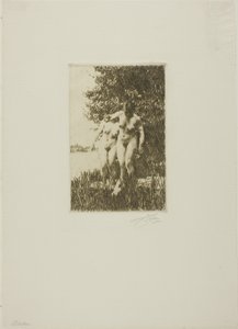 Alder