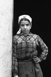 Adolescent Child Olive Picker
