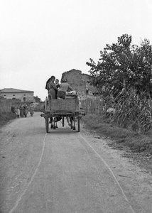 Bitter Grapes - Going to and Back from Work