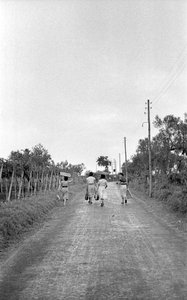 Bitter Grapes - Towards the Assigned Post