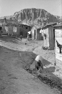 Crotone - Wash Without Water