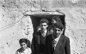 Crotone Family