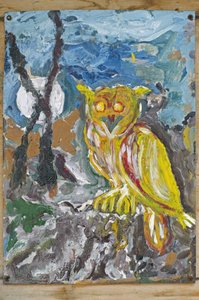 Owl