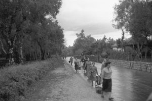 Olive Pickers