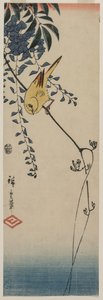 Canary and Wisteria by Ando Hiroshige