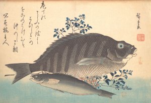 Shimadai and Ainame Fish, from the series Uozukushi Every Variety of Fish by Ando Hiroshige
