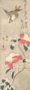 Sparrow and Snow-covered Camellia (Tsubaki)