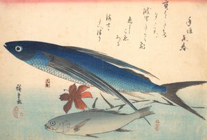 Tobiuo and Ishimochi Fish, from the series Uozukushi Every Variety of Fish by Ando Hiroshige