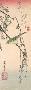 Warbler on a Plum Branch, ca. 1835 by Ando Hiroshige