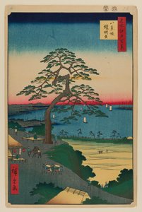 Armor-Hanging Pine, Hakkeisaka