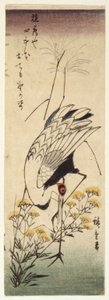 Crane with Wild Mustard
