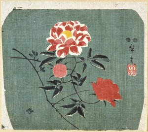 Fan Print: Rose by Ando or Utagawa Hiroshige