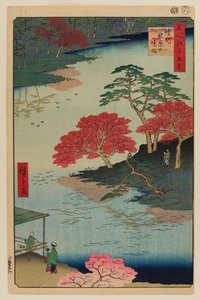 Inside Akiba Shrine, Ukeji by Ando or Utagawa Hiroshige