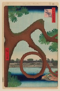 Moon Pine, Ueno