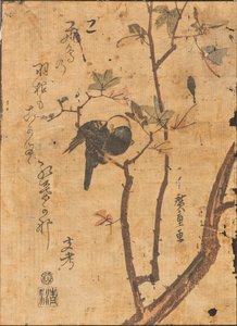 Study of bird asleep on branch by Ando or Utagawa Hiroshige