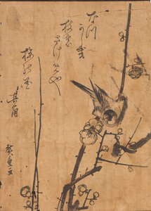 Study of Bird Perched on Branch by Ando or Utagawa Hiroshige