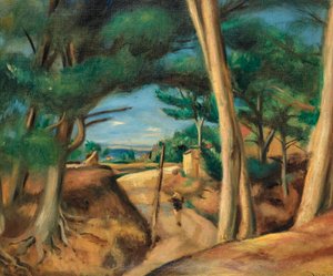 Animated Path at Lecques