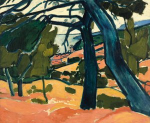 Landscape at Cassis