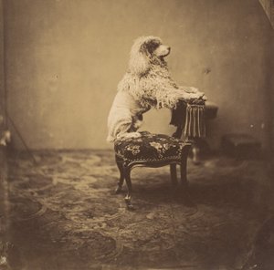 Empress Eugénie
